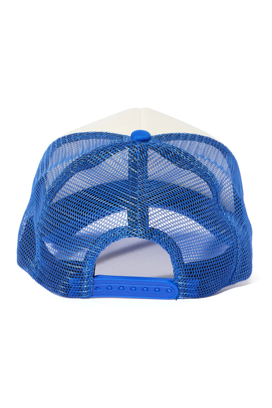 RIDIN DIRTY TRUCKER HAT